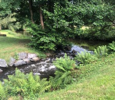 Raon-l'Etape Hotel | Bulles de l'eau vive - Motel