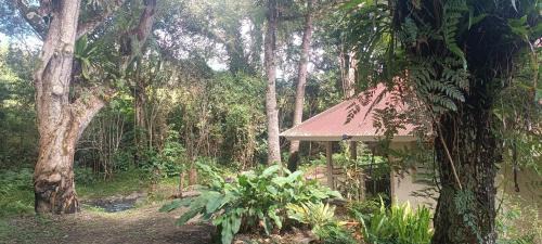 Sarramea Cabina | Bungalow Évasion 6