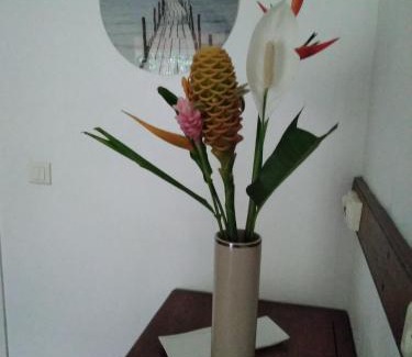 Sarramea Cabina | Bungalow Évasion 6