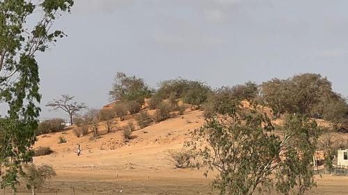 Rao Casa | Bungalow au cœur de la nature