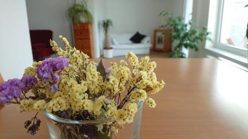 Mittelfeld Apartamento | Bungalow in Messenähe