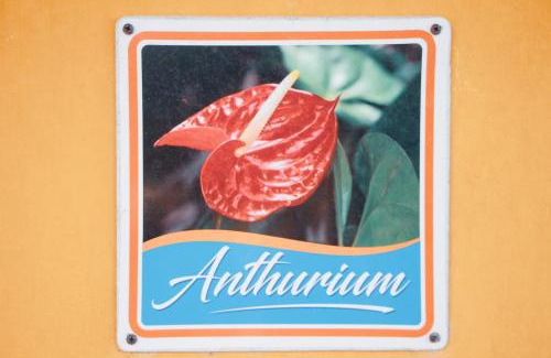 Arnos Vale Apartamento | Buttercup Cottage Apartments