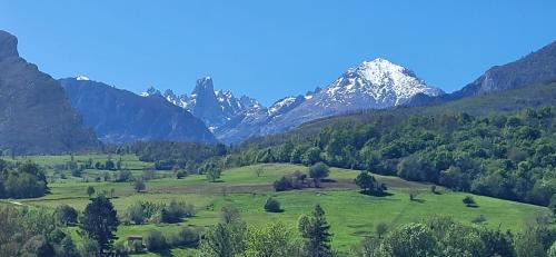 Carreña Apartamento | Ca Na Daniela
