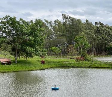 Alto Parana Department Cabina | Cabañas Mi Querido Viejo