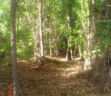 Rama Caída Casa | CABAÑA CHIC Finca San Miguel