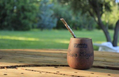 Rama Caída Casa | CABAÑA CHIC Finca San Miguel