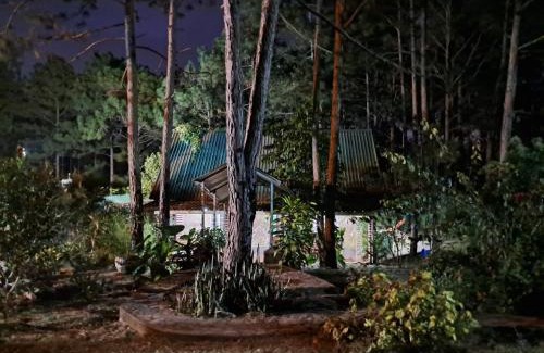 Siguatepeque Chalet De Esquí | Cabaña monte de los olivos