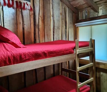 Pucon Chalet De Esquí | Cabaña Rústica Pellin