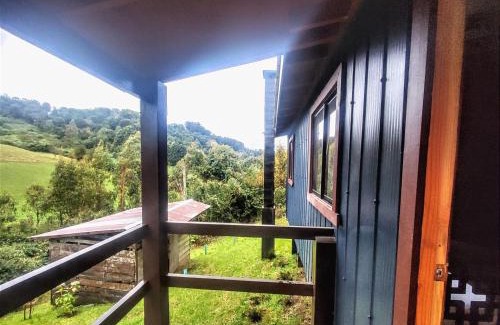 Puerto Octay Casa | Cabaña VerdeNativo-Puerto Octay