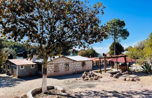 Areponapuchi Hotel | Cabañas De Lolita En Barrancas del cobre