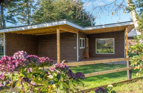 Puerto Octay Apartamento | Cabañas descanso verde