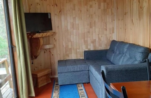Choshuenco Cabina | Cabañas Genesis