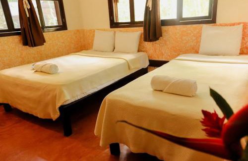 Palenque Complejo | Cabañas Kin Balam Palenque