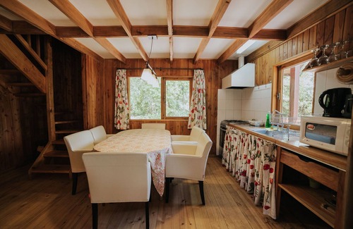 Pucon Cabina | Cabañas Metreñehue