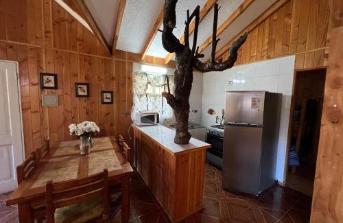 Pucon Casa | Cabañas Pucon San Sebastian