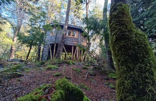 Pinto Chalet De Esquí | Cabañita del Árbol Cóndor