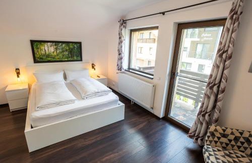 Baia-Sprie Cabina | CABANA BERNER stațiunea Mogoșa