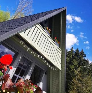 Borsa Cabina | Cabana Doinița