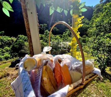 Rolante Chalet De Esquí | Cabana na Montanha com vista para Cascata SãoJudas