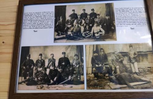 Viseu de Sus Cabina | Cabana Ulmului