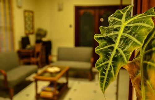Ferrera Hotel | Cabeza