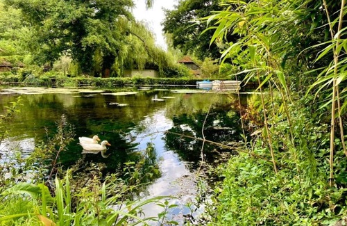 Romsey Casa | Cabaña en New Forest con bosque privado