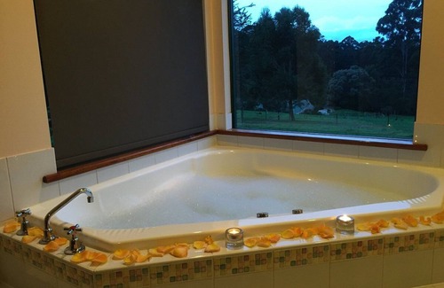 North Walpole Hotel | Cabins Nestled in 170 Acres of old Growth Forest Near the Valley of the Giants