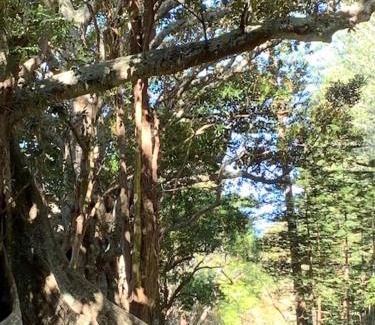 Burnt Pine Casa | Cadel's Cottage WITH FREE UNLIMITED HIGH SPEED INTERNET