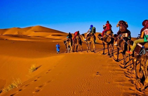 Taouz Apartamento | Camel Trekking Camp