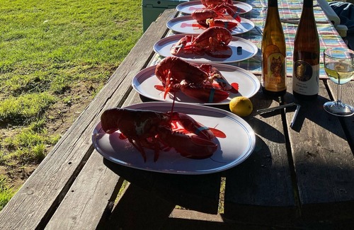 Beaver Cove Casa | CAMP COVESIDE: Four seasons of fun on Moosehead Lake!