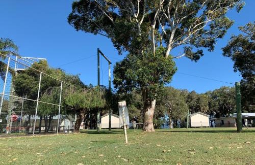 Forster Otro | Camp Elim