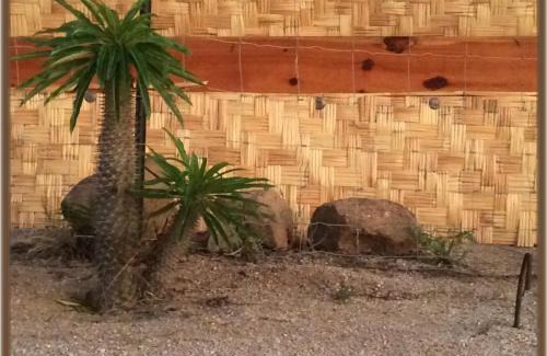 Todos Santos Casa | Camp - Santos Cabana Santino