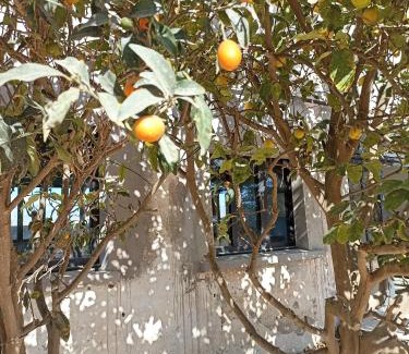 Bompas Casa | Campagne et Mer