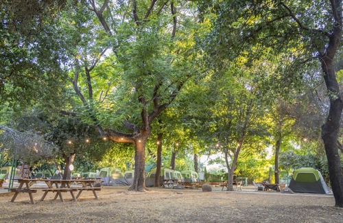 Dafna Alquiler De RV | Camping Dafna - By Travel Hotel Chain