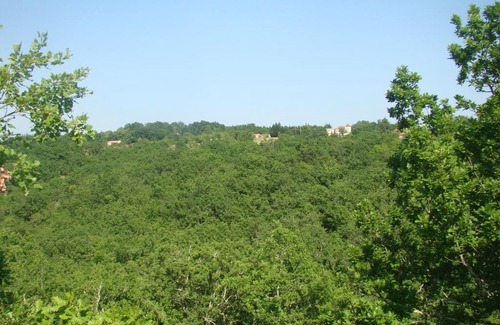 Saint-Pierre-Lafeuille Otro | CAMPING LES GRAVES - Cabane TITHOME