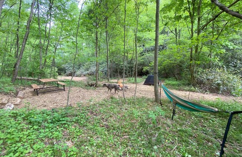 Zirconia Alquiler De RV | Campsite 2 - Creekside on 38 acres- biking and hiking trails