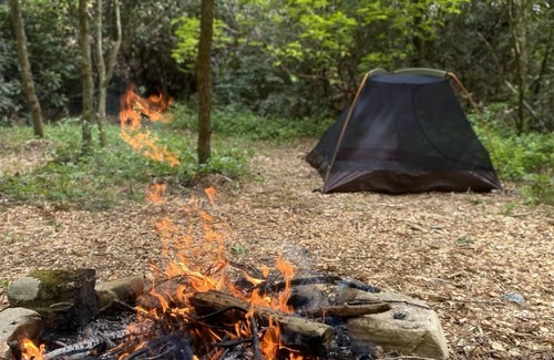 Zirconia Alquiler De RV | Campsite 2 - Creekside on 38 acres- biking and hiking trails