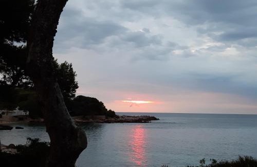 Es Pelats Apartamento | Can Caragol