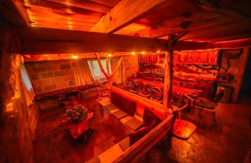 Tlaxcala Otro | Canto del Bosque Santuario de las luciernagas