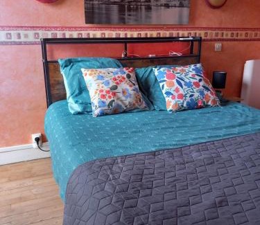 Tarbes Apartamento | Cap Sud - 53m2- VUE PYRENEES- HYPERCENTRE-WIFI FIBRE -Nouvelle literie