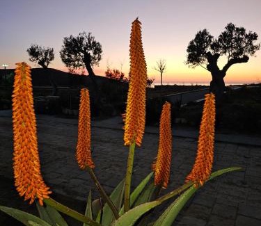 Ishem Hotel | Cape of Rodon Resort