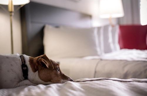 Capitol Hill Hotel | Capitol Hill Hotel