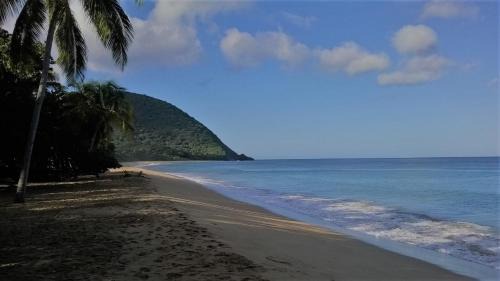 Deshaies Hotel | Caraib'Bay Hotel