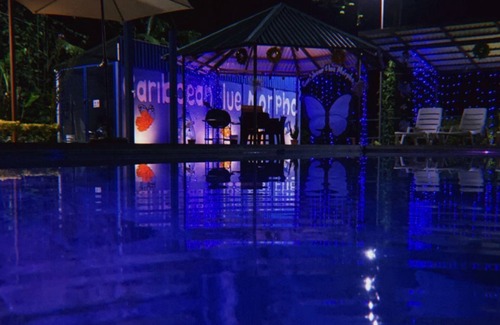 Cahuita Apartamento | Caribbean Blue Morpho