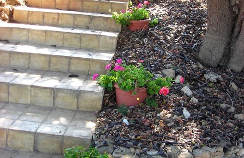 Marsala Casa | APARTAMENTO CARRUBBO