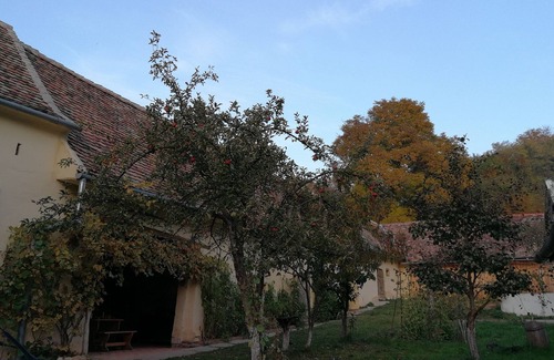 Richis Villa | Casa Arthur