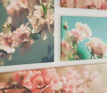 Niestetal Apartamento | Casa Blanca