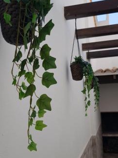 Chella Casa | Casa Bonaire