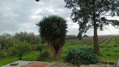 Menfi Casa | Casa Bouganville villetta tra le vigne e il mare