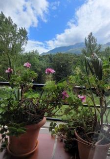 Cabrales Casa | Casa Cabrales